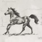 Nr.08 "Laufendes Pferd", 40 x 30 cm, Kohlestift auf Malpapier, 2010