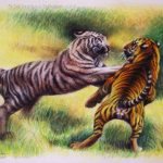 Nr.77 "Zwei Kämpfende Tiger"